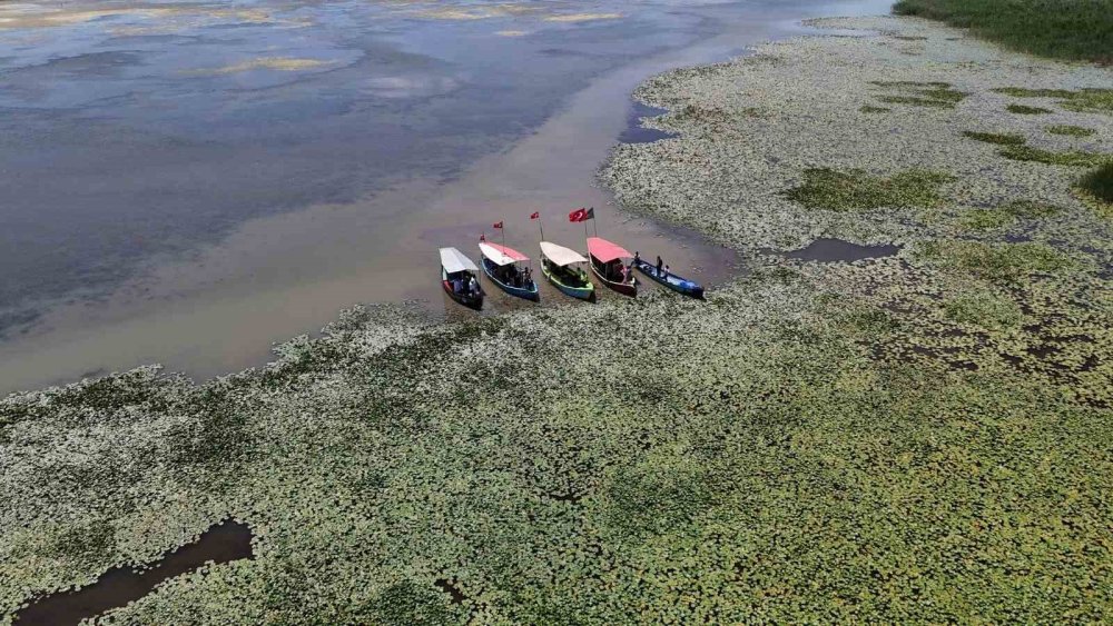Beyşehir Gölü’nde Bangladeş Rüzgarı