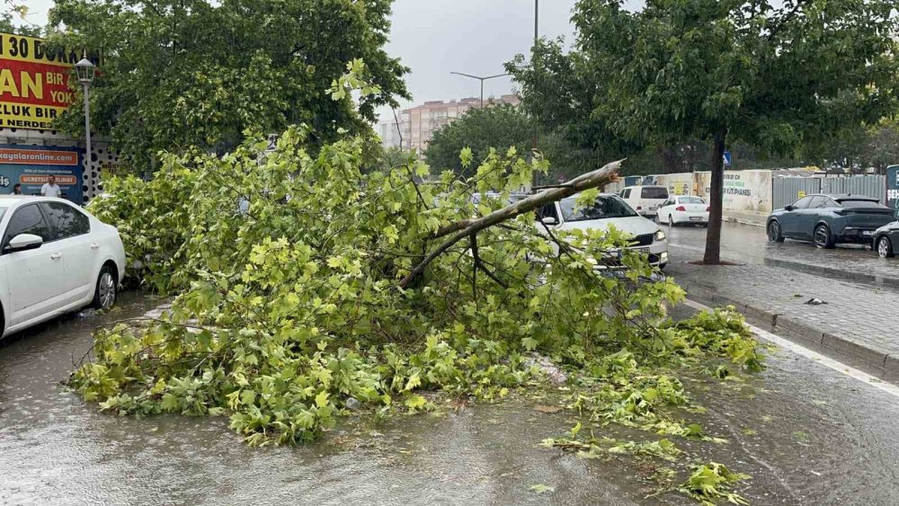 Konya'yı sel vurdu! Kırsalda toprak taşındı, binaları su bastı