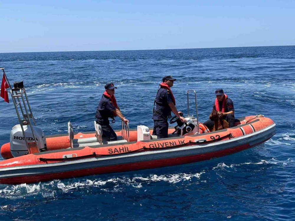 Kaleye çıkan keçiyi sahil güvenlik kurtardı