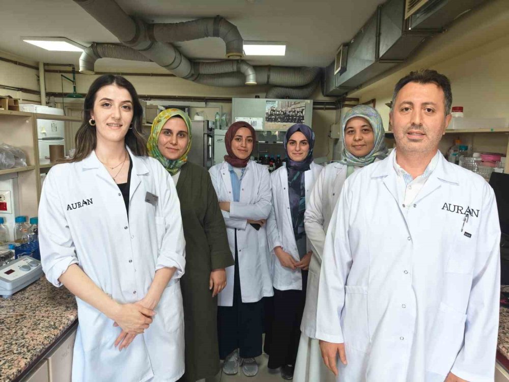 Kene ve haşerelere karşı bitkisel losyon