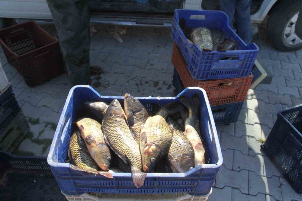 Su seviyesi düştü, Beyşehirli balıkçıları otlar zorluyor