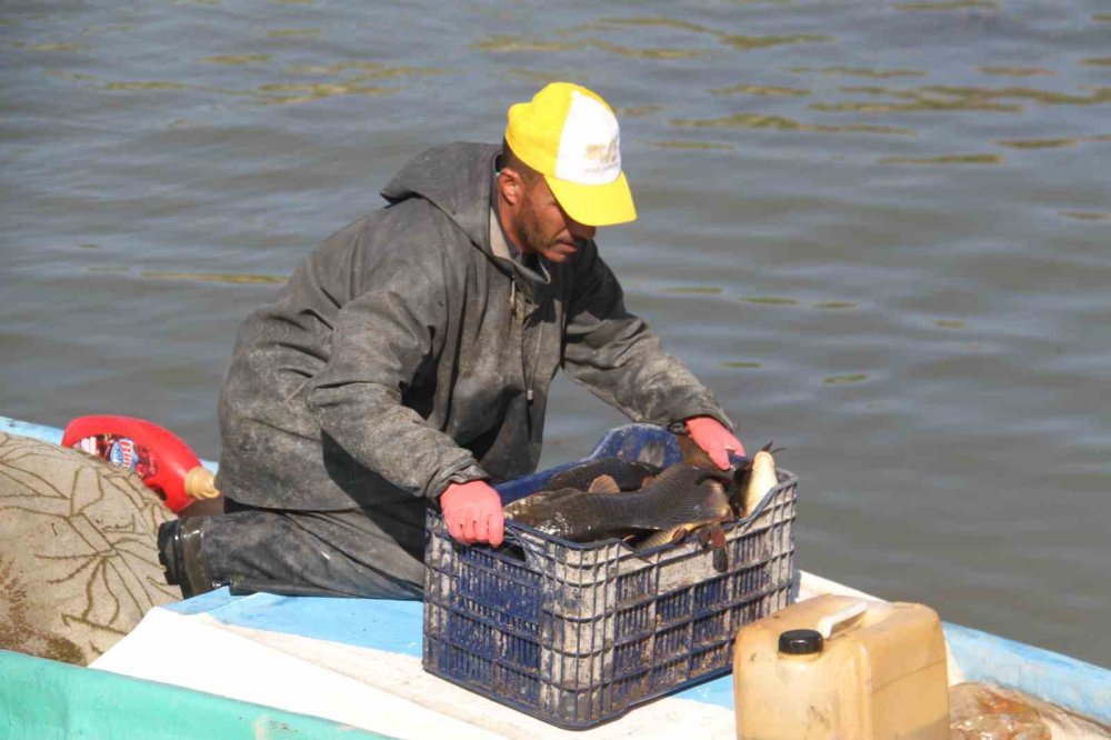 Su seviyesi düştü, Beyşehirli balıkçıları otlar zorluyor