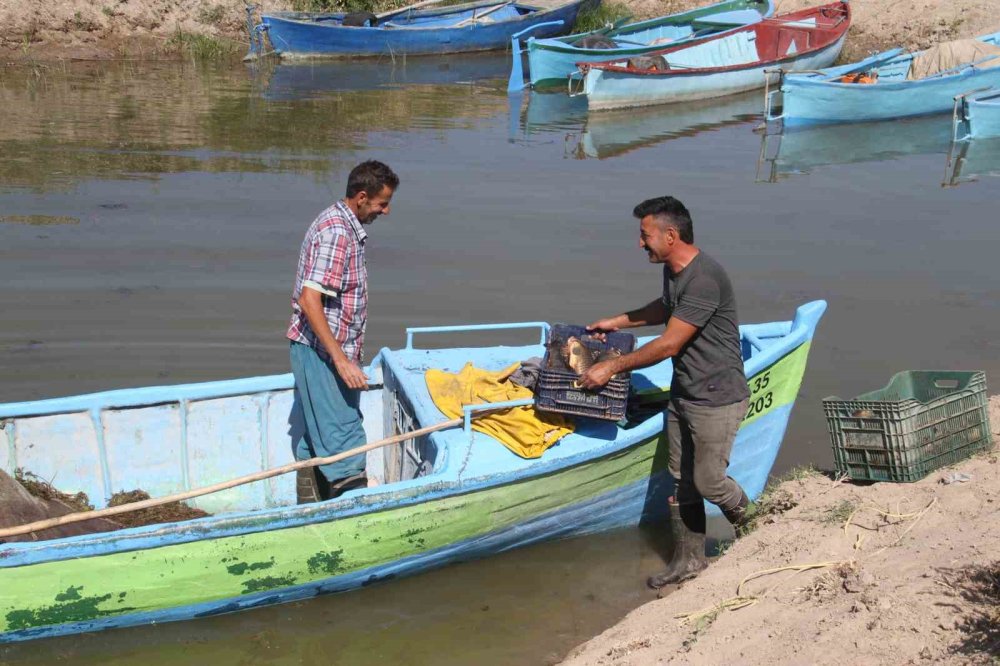 Su seviyesi düştü, Beyşehirli balıkçıları otlar zorluyor