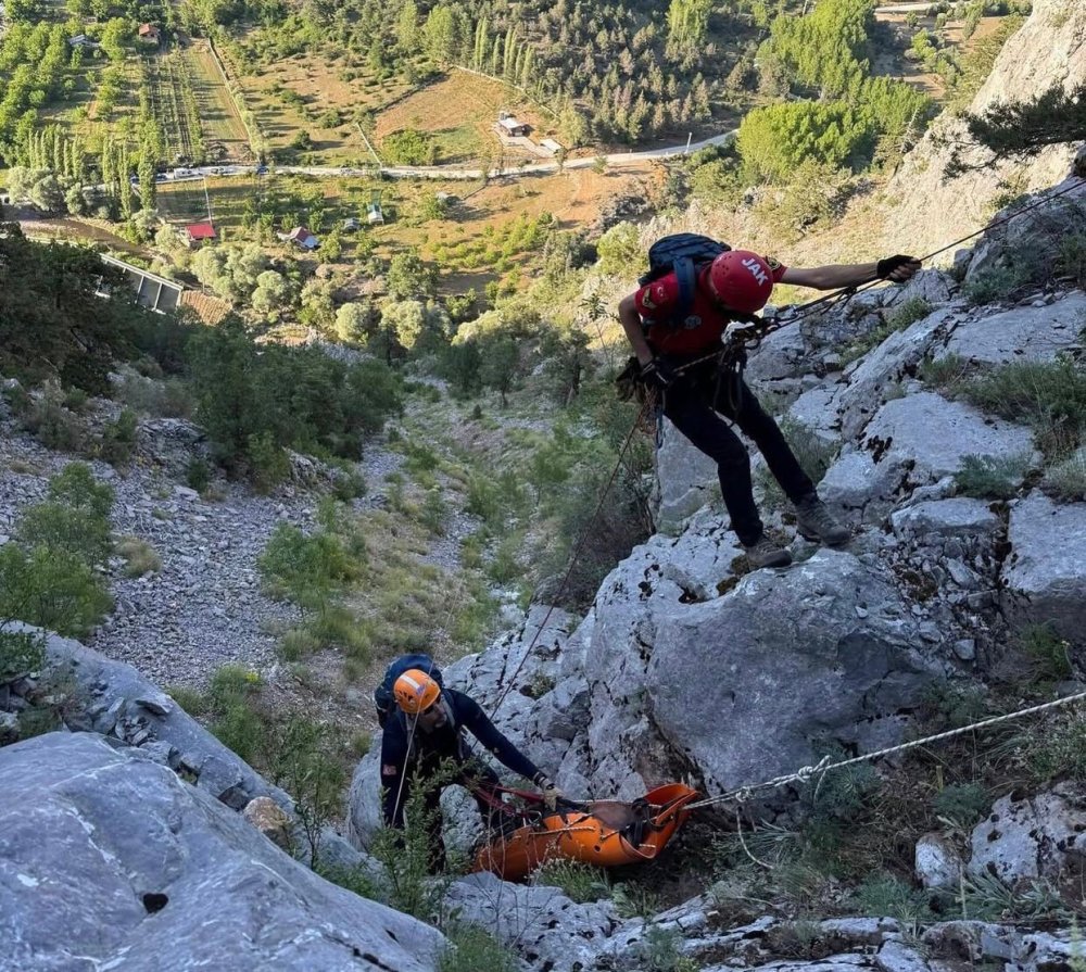 Ihlamur toplarken kayalıklardan düşen emekli polis hayatını kaybetti