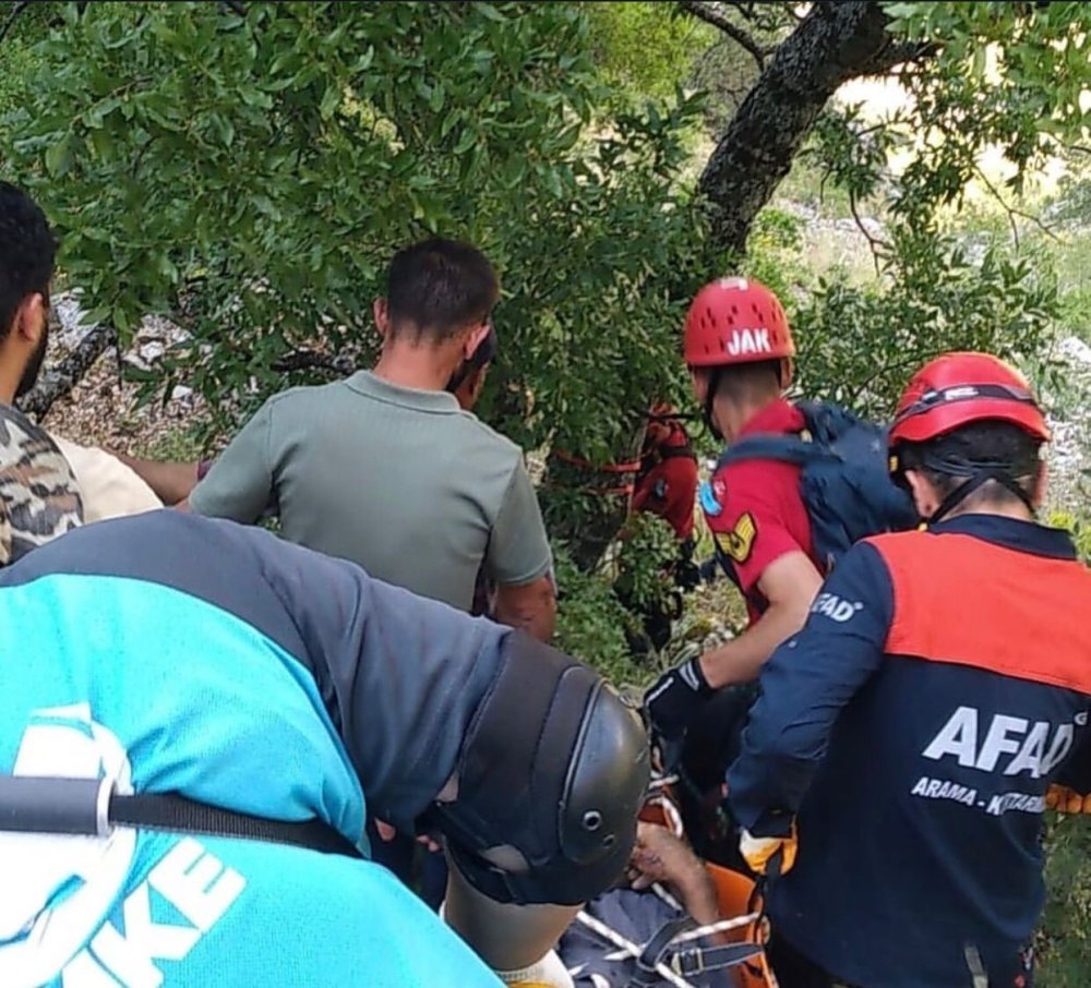 Ihlamur toplarken kayalıklardan düşen emekli polis hayatını kaybetti