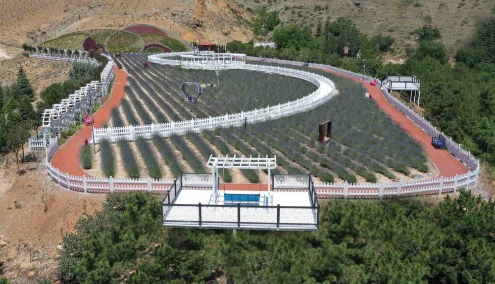 Meram Lavanta Bahçesi Kapılarını Açtı
