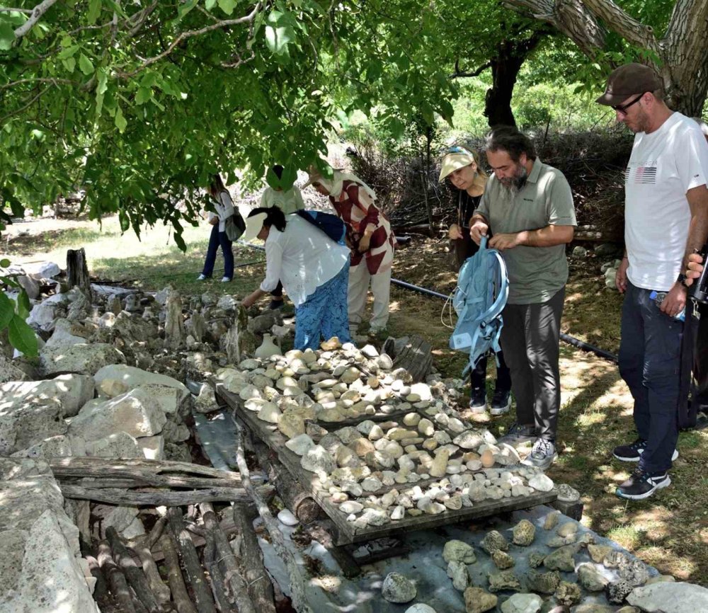 Mut’ta Fosil Araştırmaları Başladı: Doğa Müzesi Kurulacak