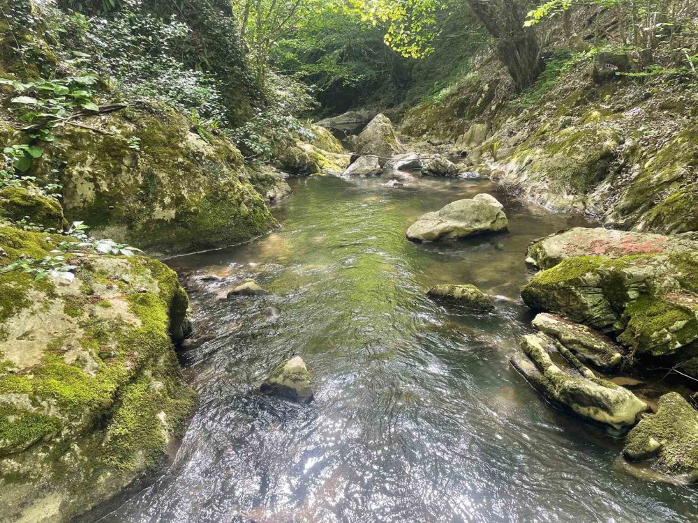 İstanbulluların yeni gözdesi: El değmemiş doğasıyla Sansarak Kanyonu serinletiyor