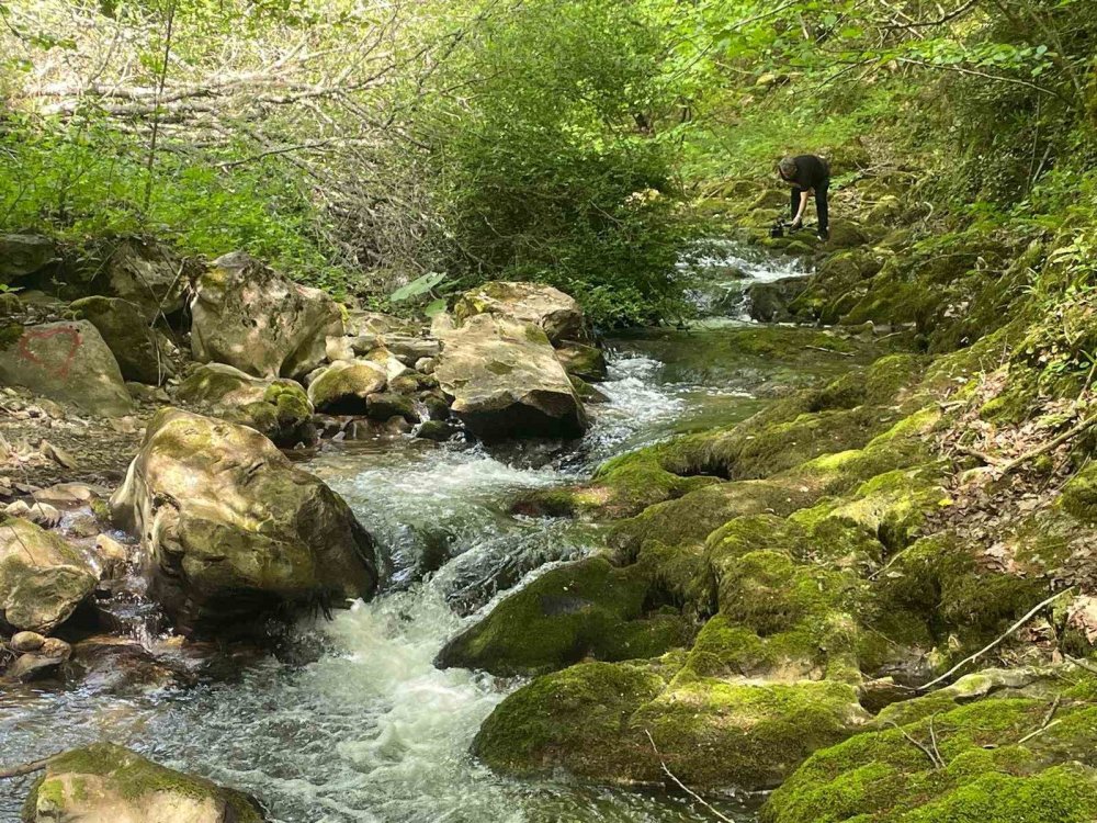 İstanbulluların yeni gözdesi: El değmemiş doğasıyla Sansarak Kanyonu serinletiyor