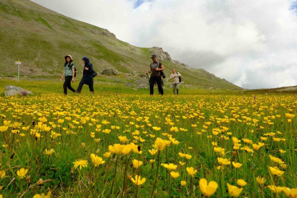 Yüksek zirvelerde doğa uyanıyor