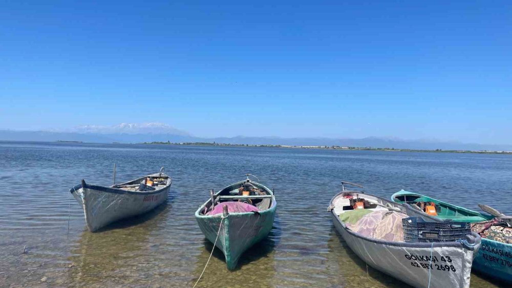 17 Kiloluk Dev Sazan Avcıların Yüzünü Güldürdü