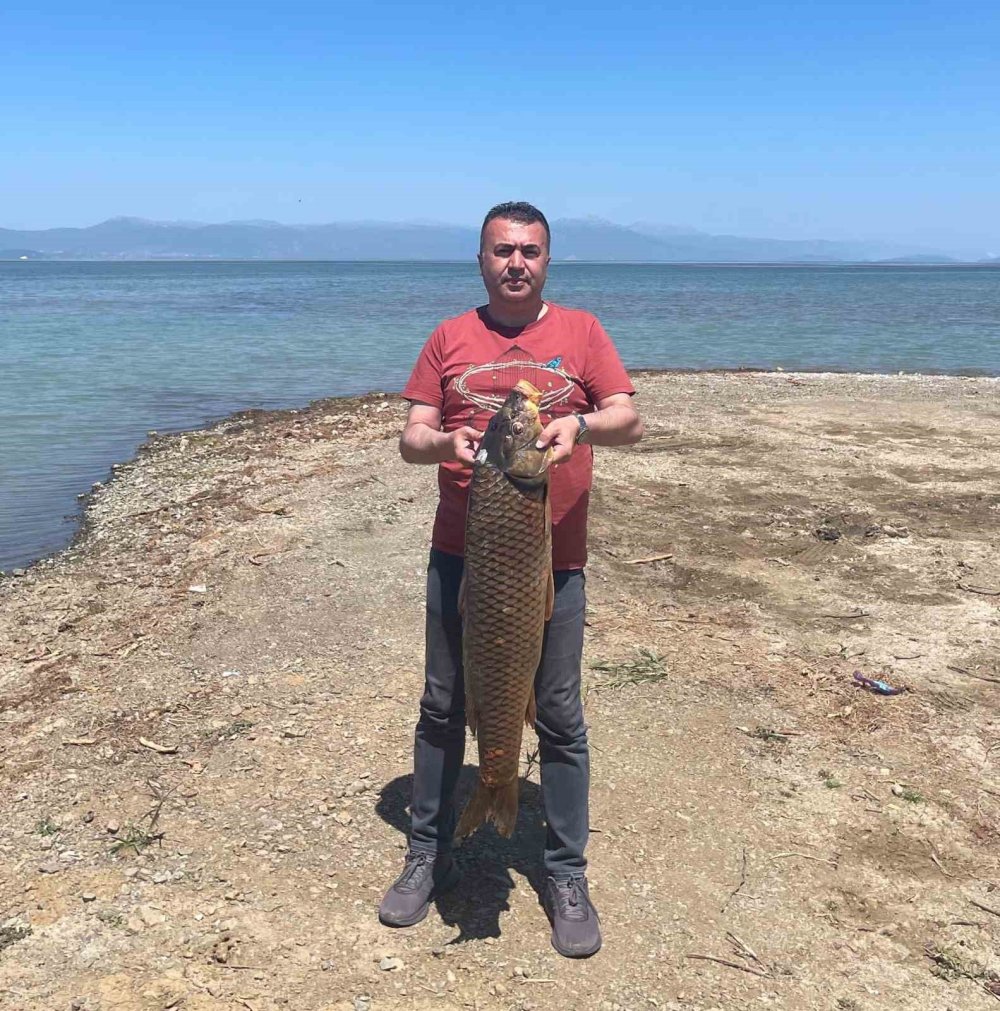 17 Kiloluk Dev Sazan Avcıların Yüzünü Güldürdü