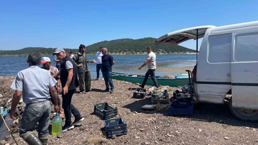 17 Kiloluk Dev Sazan Avcıların Yüzünü Güldürdü