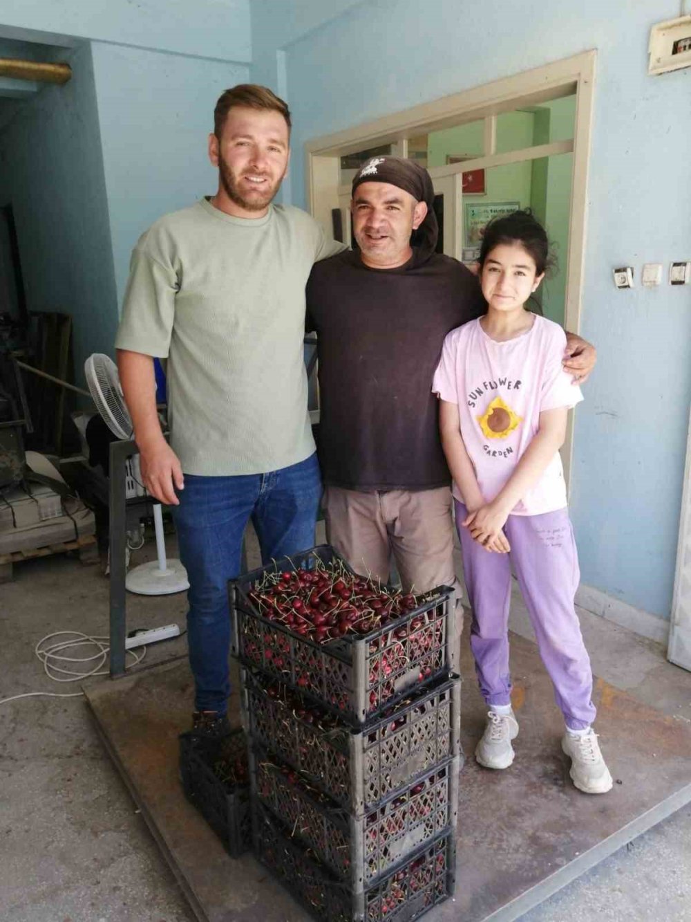 Konya'da Kiraz Hasadı 300 TL'den Başladı: Rekoltede Büyük Düşüş