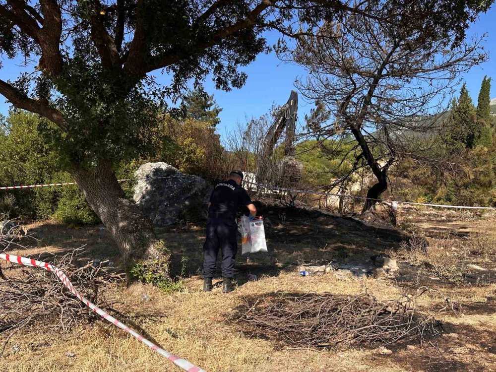 Semaver ateşi ormanı yakıyordu