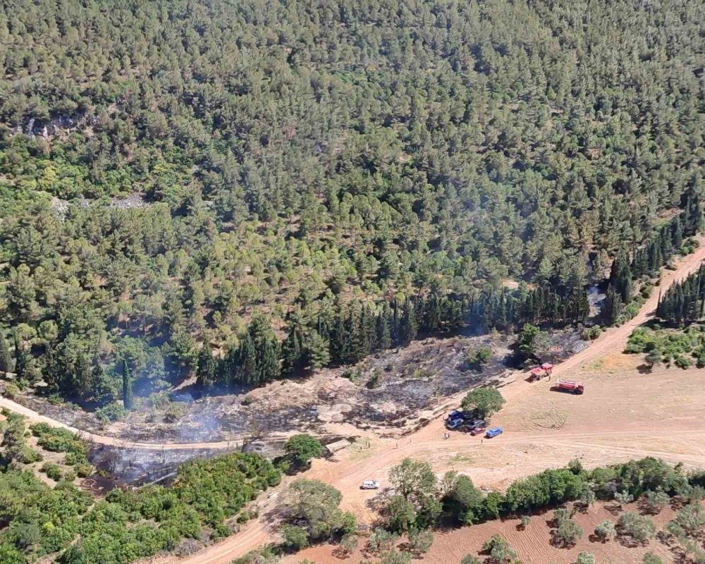 Semaver ateşi ormanı yakıyordu