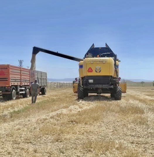 Biçerdöverlere Sıkı Denetim