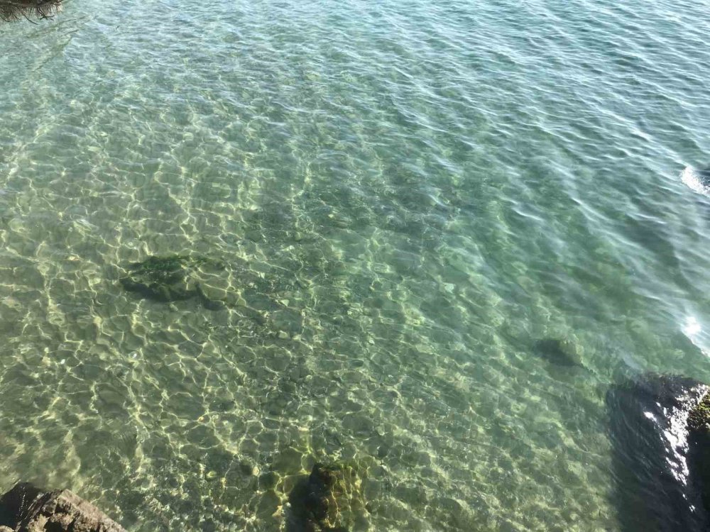 Mazot temizlendi, deniz kullanıma açıldı