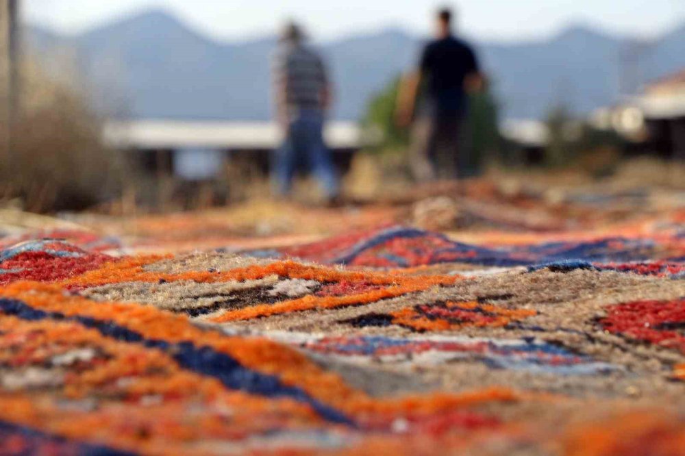 Nöbet Başladı: Milyonluk El Dokuması Halılar Güneşte Renk Değiştiriyor