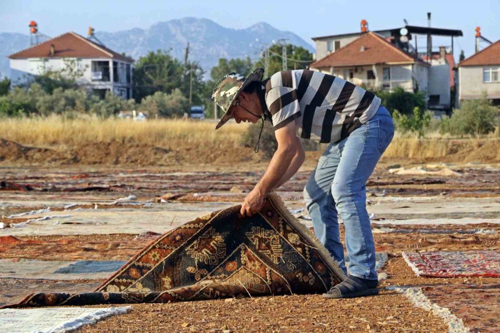 Nöbet Başladı: Milyonluk El Dokuması Halılar Güneşte Renk Değiştiriyor