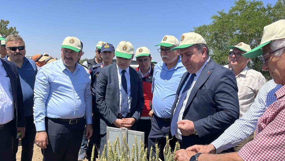 Her Dört Hububat Tohumundan Biri TİGEM'den