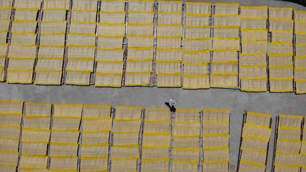 Kahramanmaraş tarhanası Avrupa sofralarında cips oldu