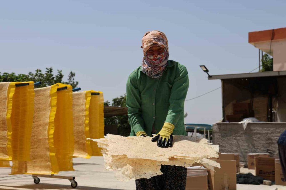 Kahramanmaraş tarhanası Avrupa sofralarında cips oldu