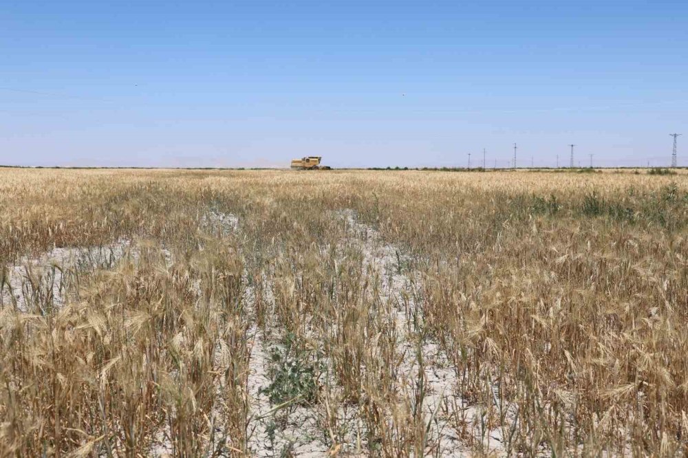 Konya Ovası can çekişiyor