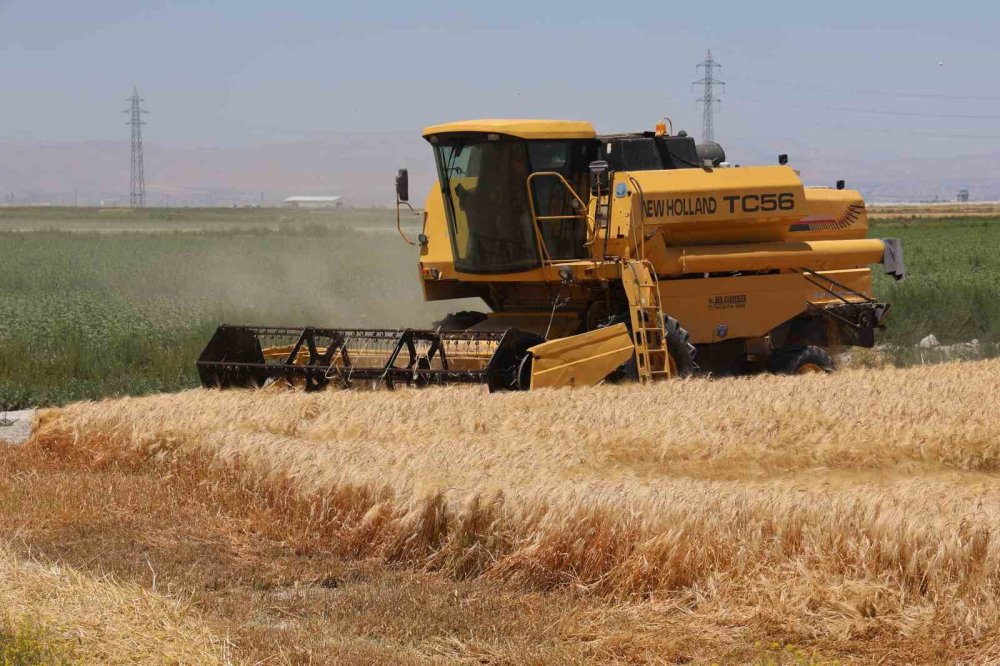 Konya Ovası can çekişiyor