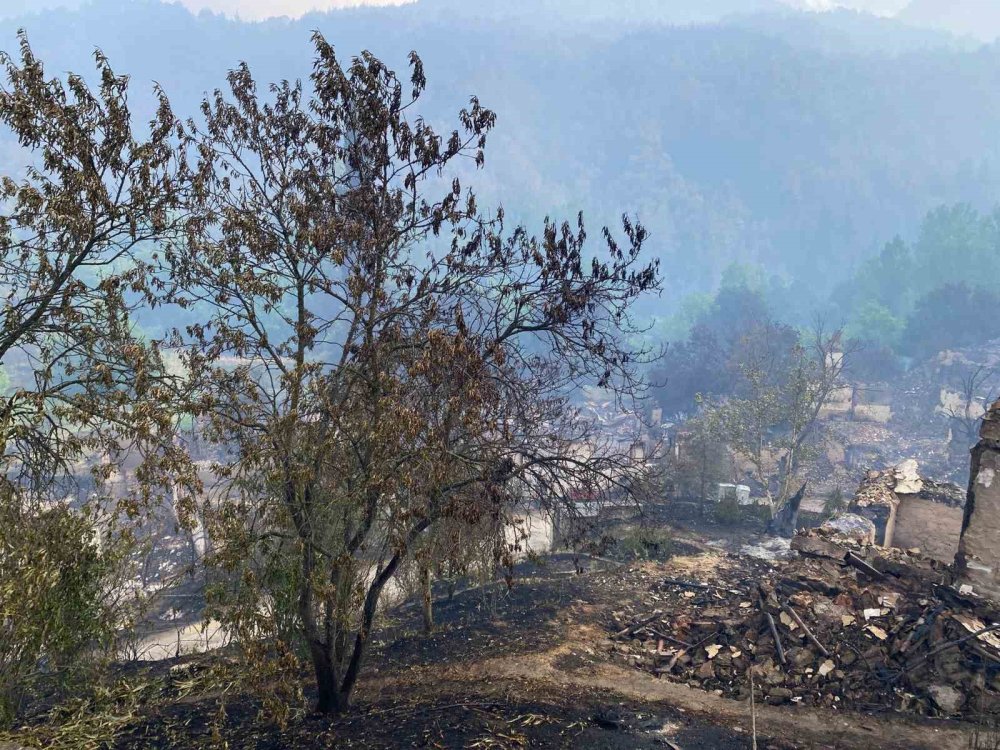 3 gündür devam eden yangını yağmur söndürdü