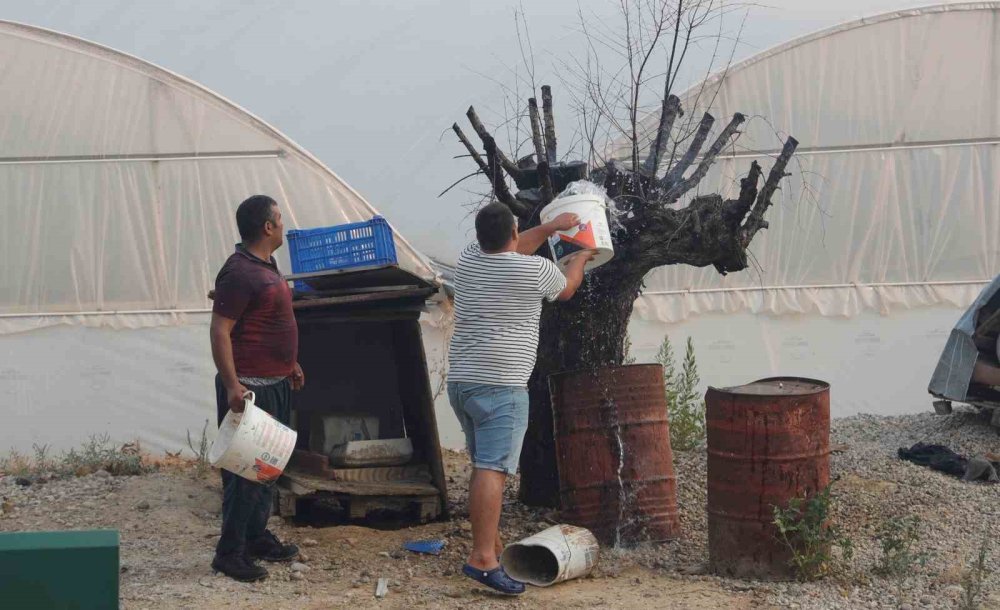 Alevler Evleri Tehdit Etti, Vatandaşlar Kovalarla Müdahale Etti