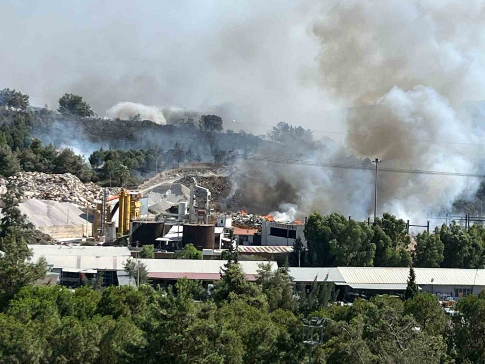 Çöp depolama alanındaki yangın ormana sıçradı