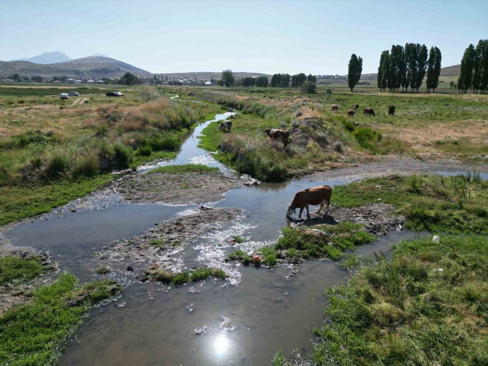 Melendiz Çayı alarm veriyor: Kanalizasyon suları köylünün sağlığını tehdit ediyor