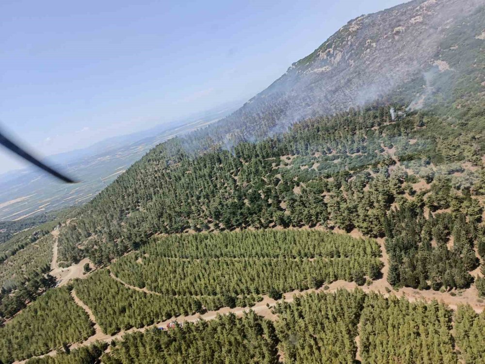 Manisa’da bir orman yangını daha başladı