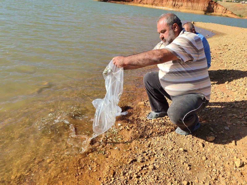 Hüyük’te göletler balıklandırıldı