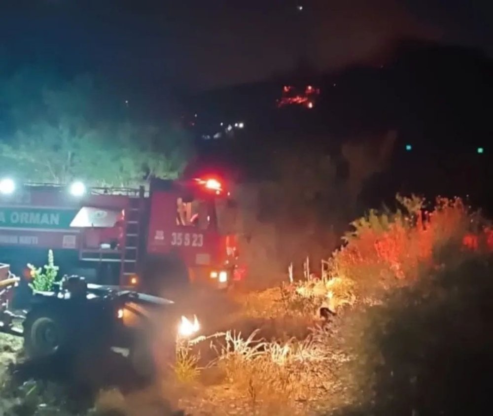 'Üzerinde kene var' diye yastık yaktı, 5 dönümlük orman kül oldu