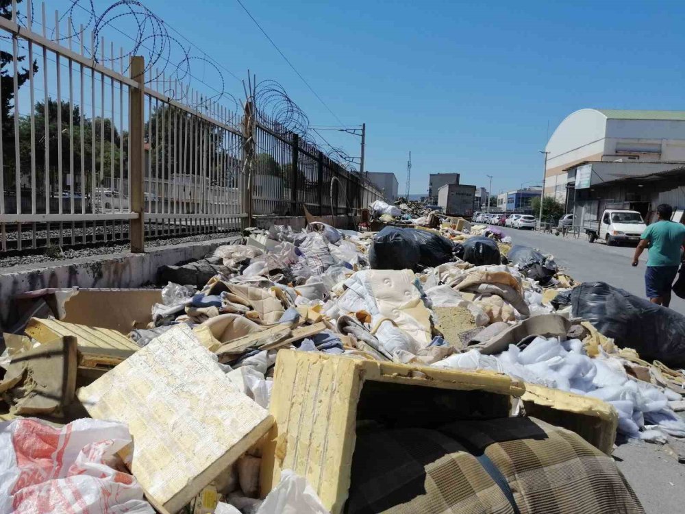 Ege'nin incisiydi çöp dağlarında boğuldu