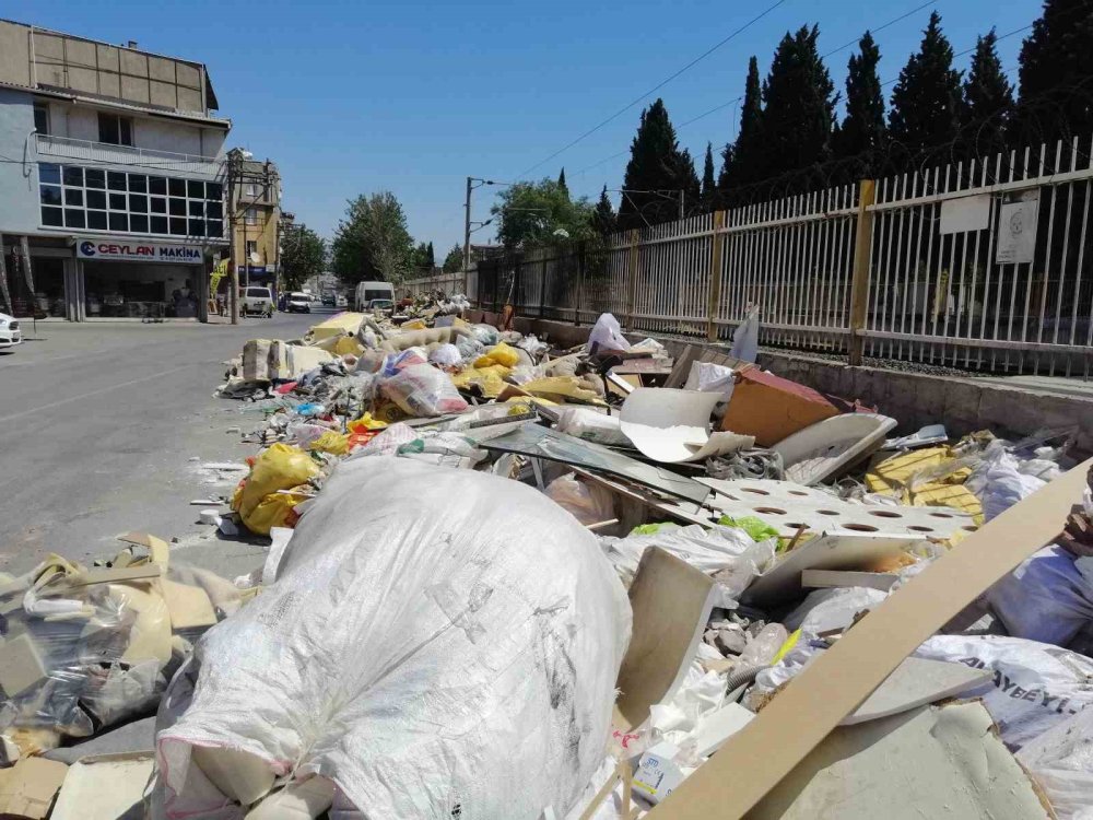Ege'nin incisiydi çöp dağlarında boğuldu