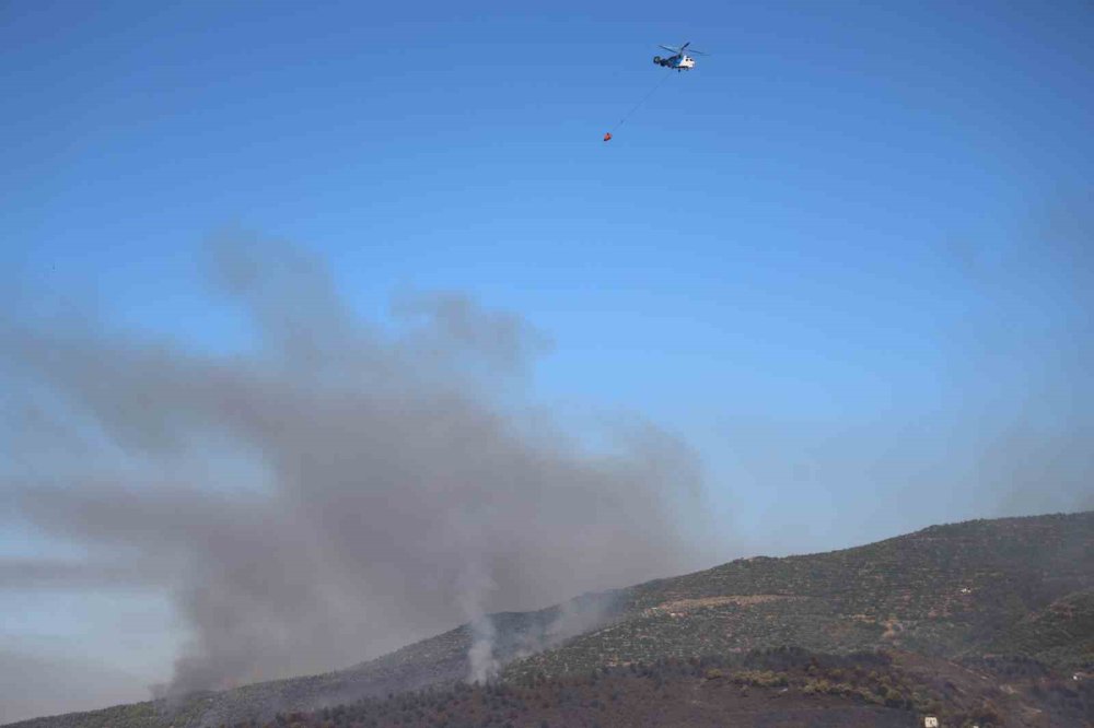 Alevler durmuyor: Türkiye'nin ciğerleri yanıyor