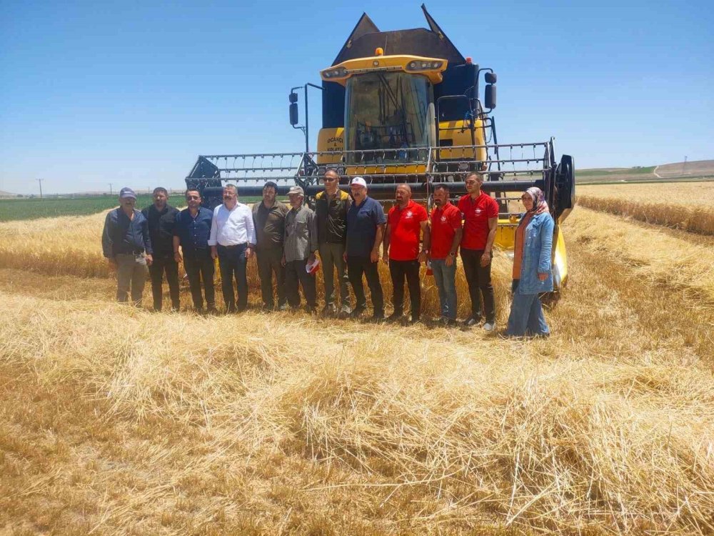 Konya Ovası'nda Hasat Zamanı: Sulanan Bölgeler Yüz Güldürdü