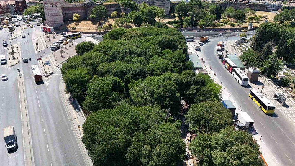 Osmanlı'nın kahramanı unutuldu: Çerkes Hasan’ın mezarı harabeye döndü