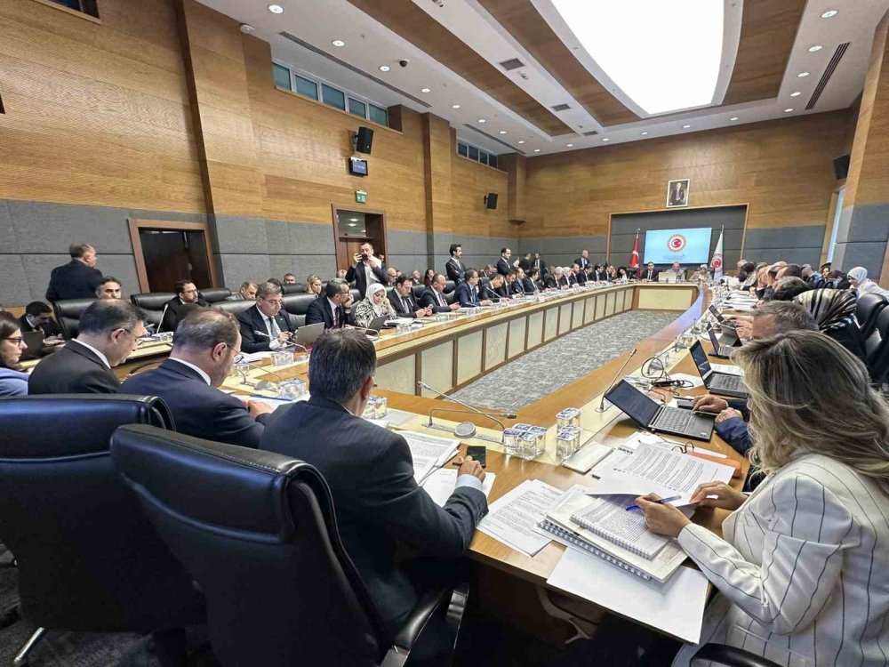 Özel hastane doktorları 2 hastanede çalışabilecek