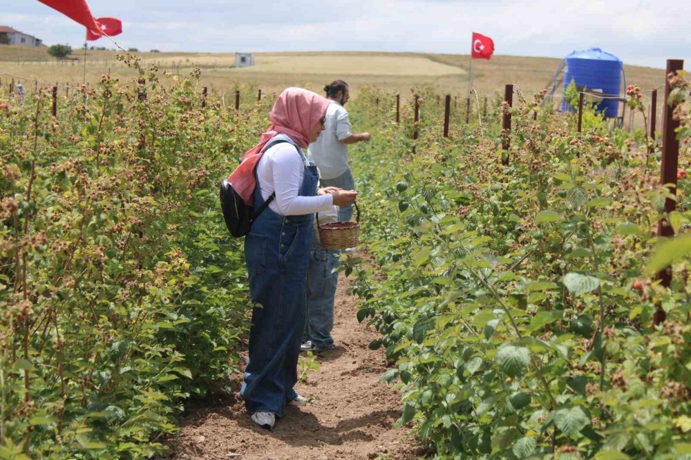Hobi olarak başladı, taleplere yetişemiyor