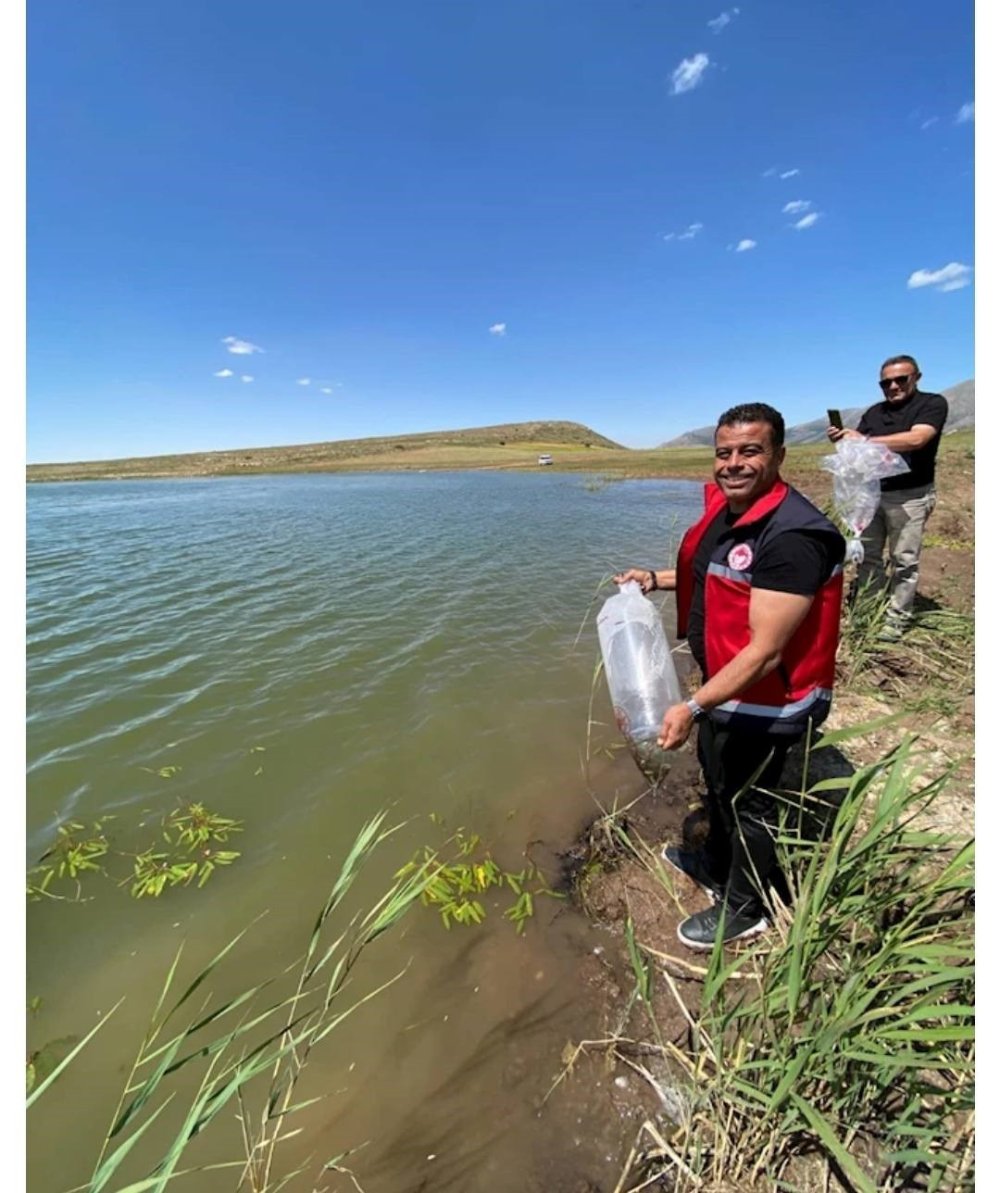 Niğde'den bereket fışkırıyor