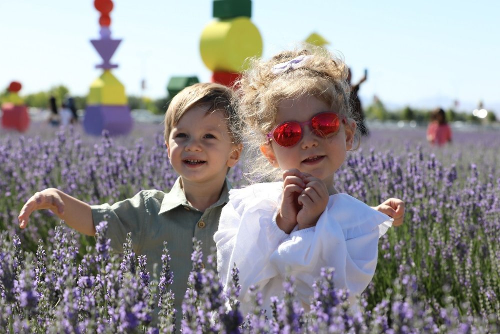 Lavanta Bahçesi festival alanına dönüştü