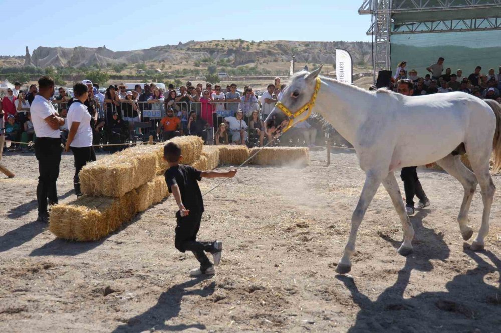Türkiye’nin En Güzel Atları Kapadokya’da Yarıştı