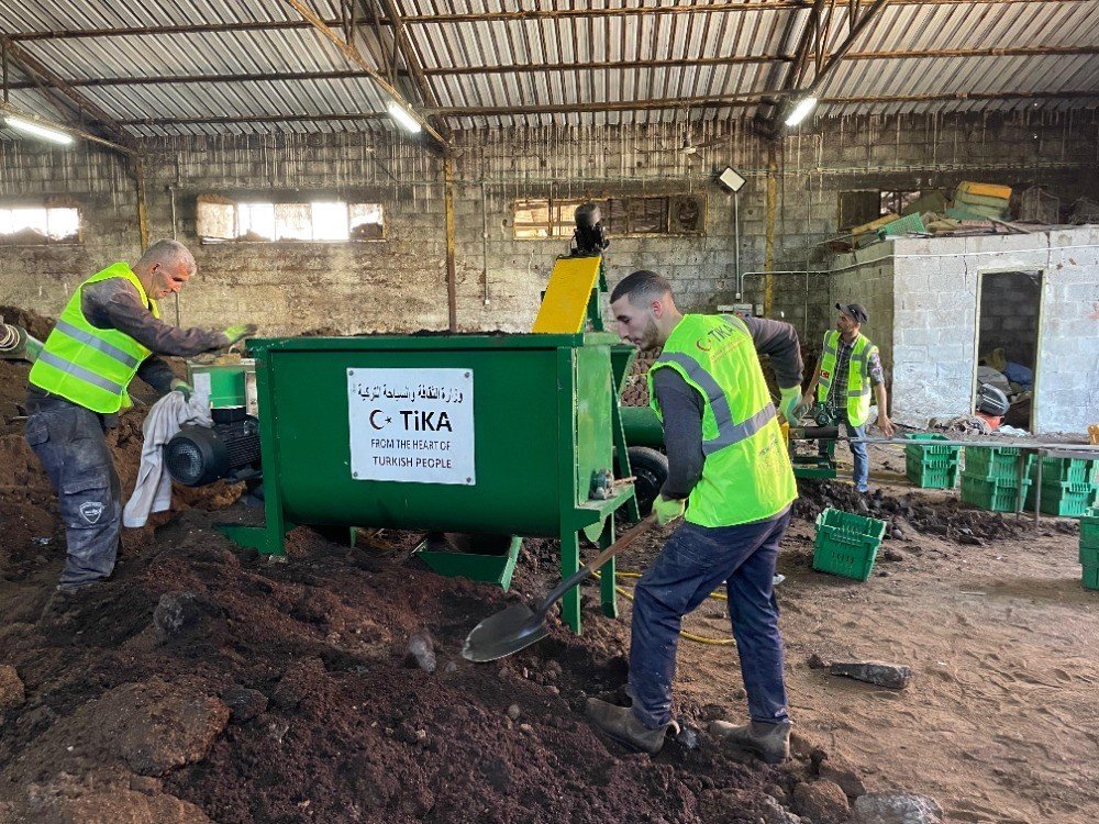 Filistin’e çevreci destek: Zeytin atıklarından enerji üreten proje hayata geçti