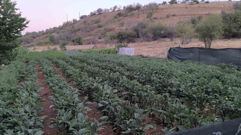 Bahçe sulama kavgasında komşusunu öldürdü