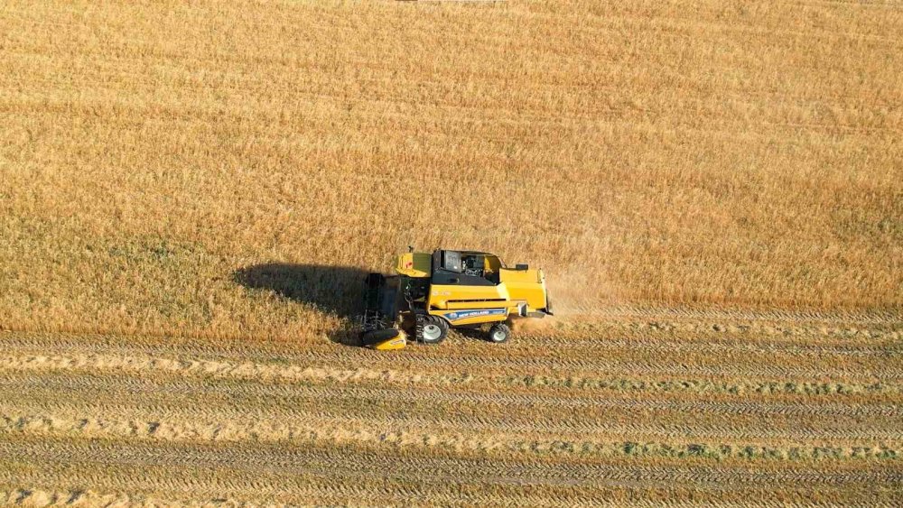 Hasat yapan çiftçiye çifte uyarı