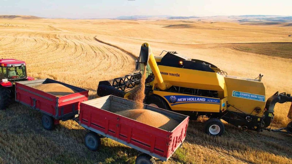Hasat yapan çiftçiye çifte uyarı